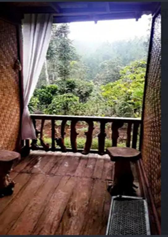 Ijen Miner Family Homestay