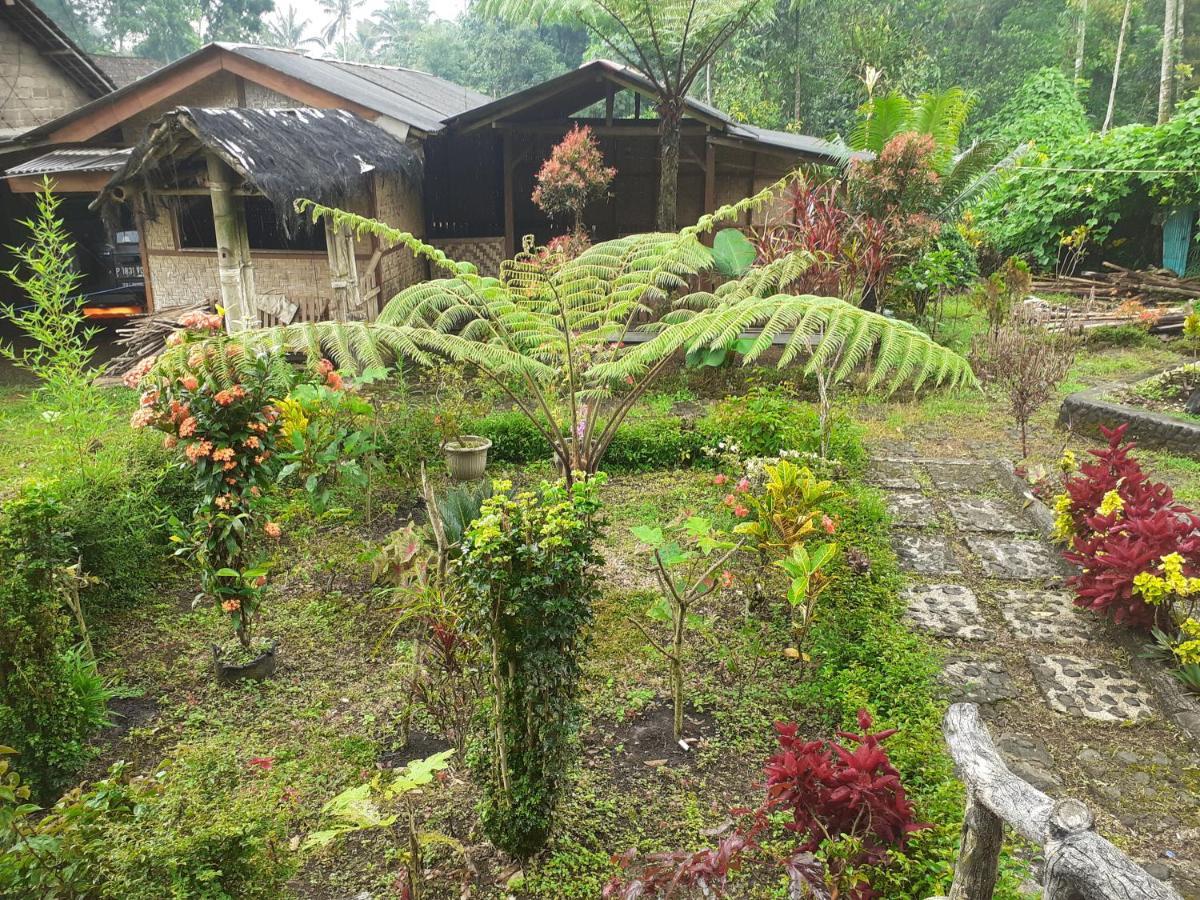 Homestay Ijen Miner Family Banyuwangi (East Java)