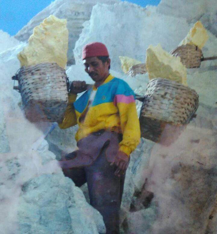 Homestay Ijen Miner Family *